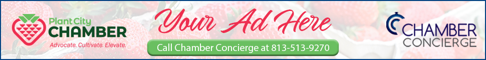Platinum 970 x 120 Banner Example